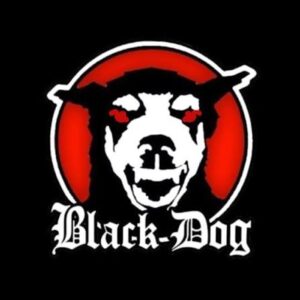 Black Dog
